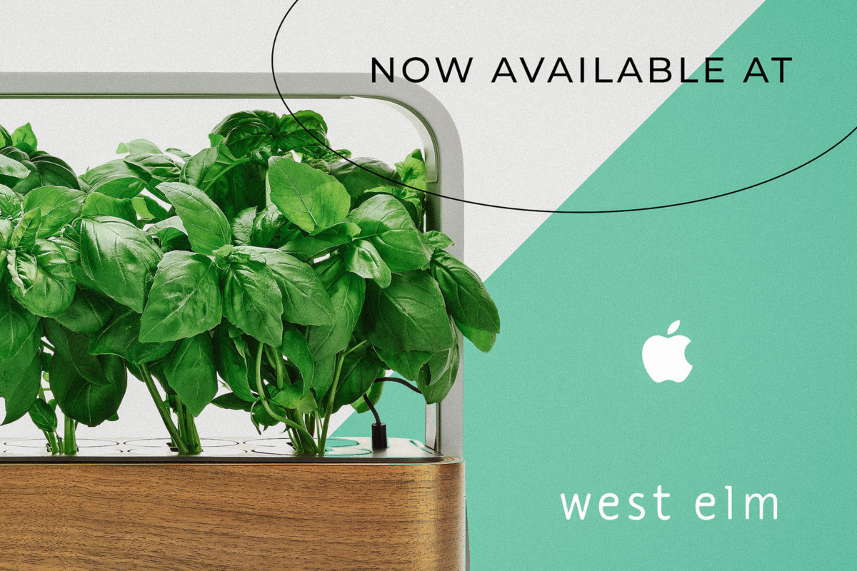 Ēdn SmallGarden At Apple And West Elm Image